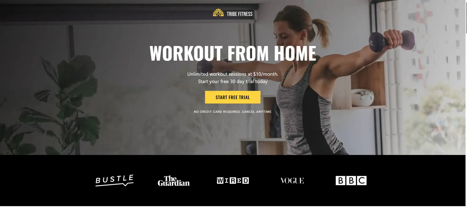 pest control service website