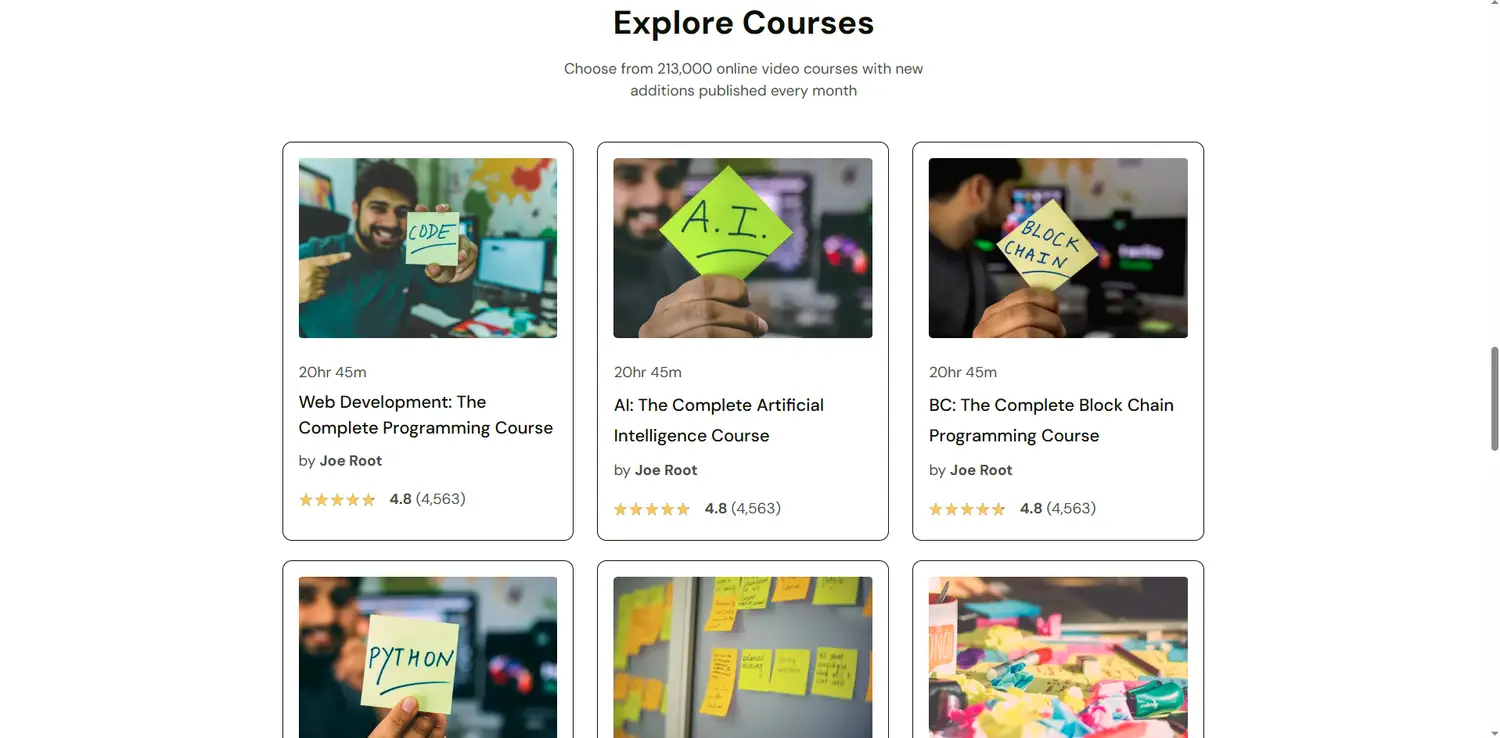 chiropractic website